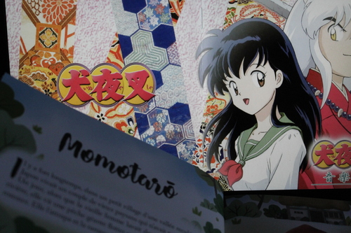 Lecture du moment accompagner des ost d'InuYasha.