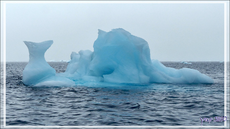 Encore quelques spécimens admirés dans le cimetière d'icebergs de Savissivik - Qaasuitsup - Baie de Melville - Groenland