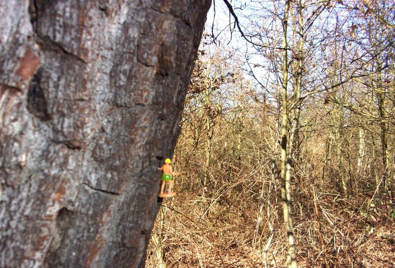 Aujourd'hui : exploration dans le Bois de Vincennes pendant un hiver bien trop doux