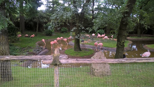 Zoo de la Flèche (3) : souvenirs