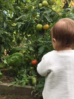 Un dimanche à la ferme d'Uccle avec bébé