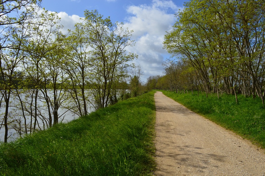 Rando Beaugency/Lestiou