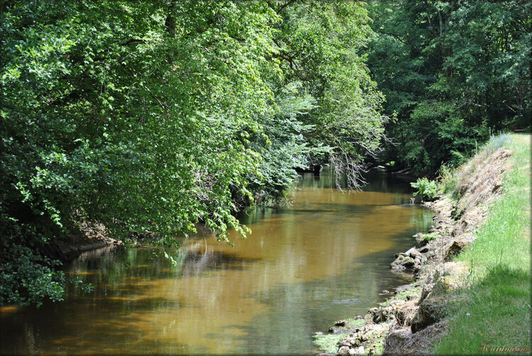 Photo rivière le Ciron (Château de Cazeneuve)