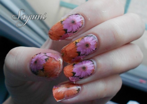 Nail Art Full WD