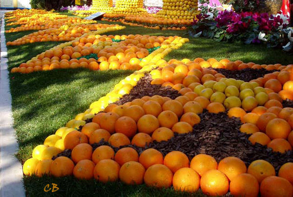 Menton fête des citrons