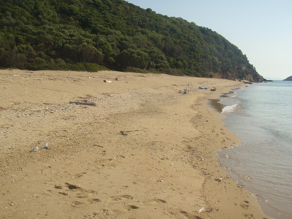 Sur la plage abandonnée ...