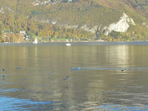       ANNECY,  LA VENISE DES ALPES