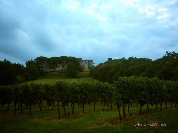 le château des Benauges (arbis) gironde