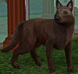 Sims 2 family Larans Dogs "Diversification phase 2"