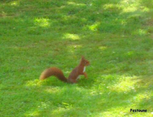 Les animaux du printemps