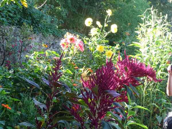 Giverny    12 septembre 2016