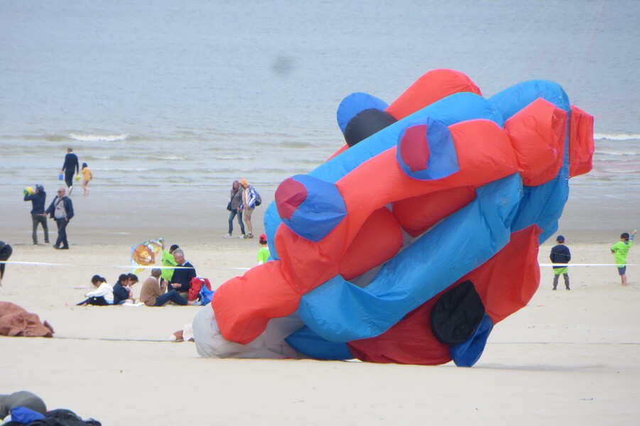 Cerfs volants-Berck