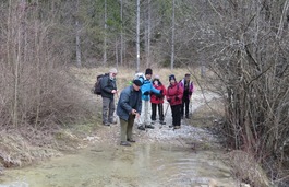 5 mars 2015 - Véronne