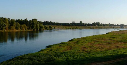 La Loire au matin