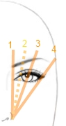 Géométrie du visage #2: Les zones importantes