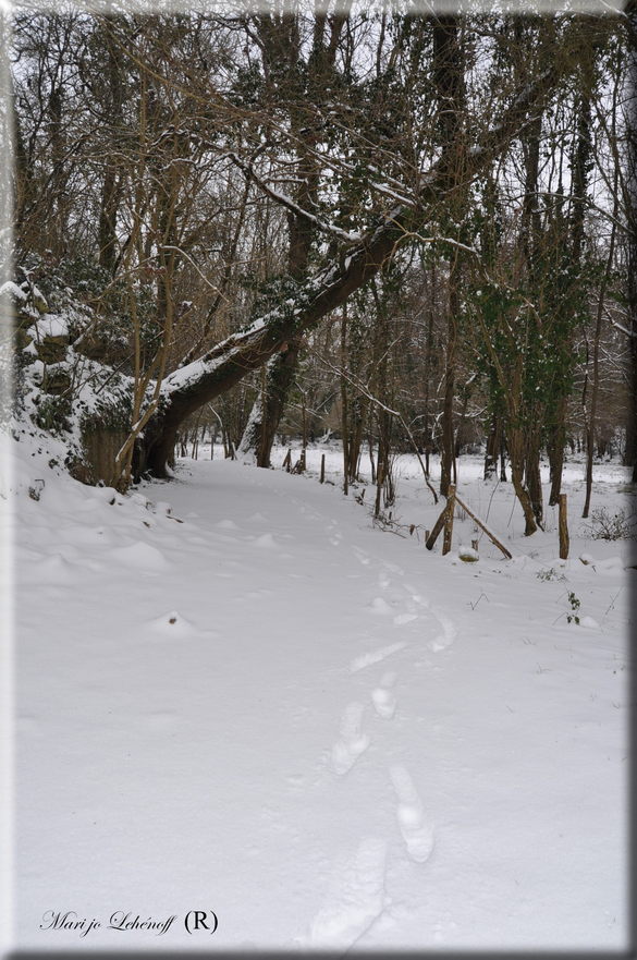 Ben la météo s'est vachement trompée