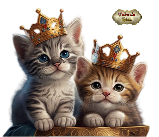 Royal kitten