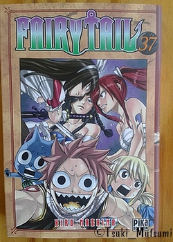 Fairy Tail - tome 37