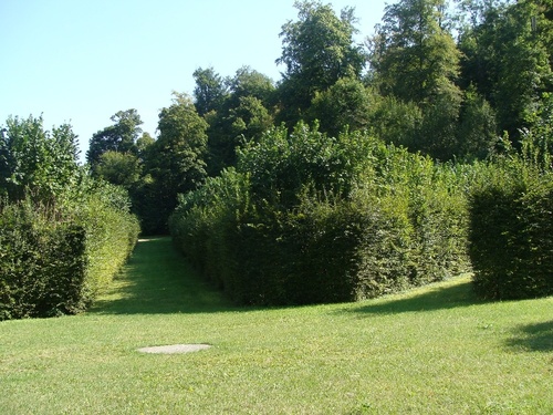 Le château de Bussy-Rabutin