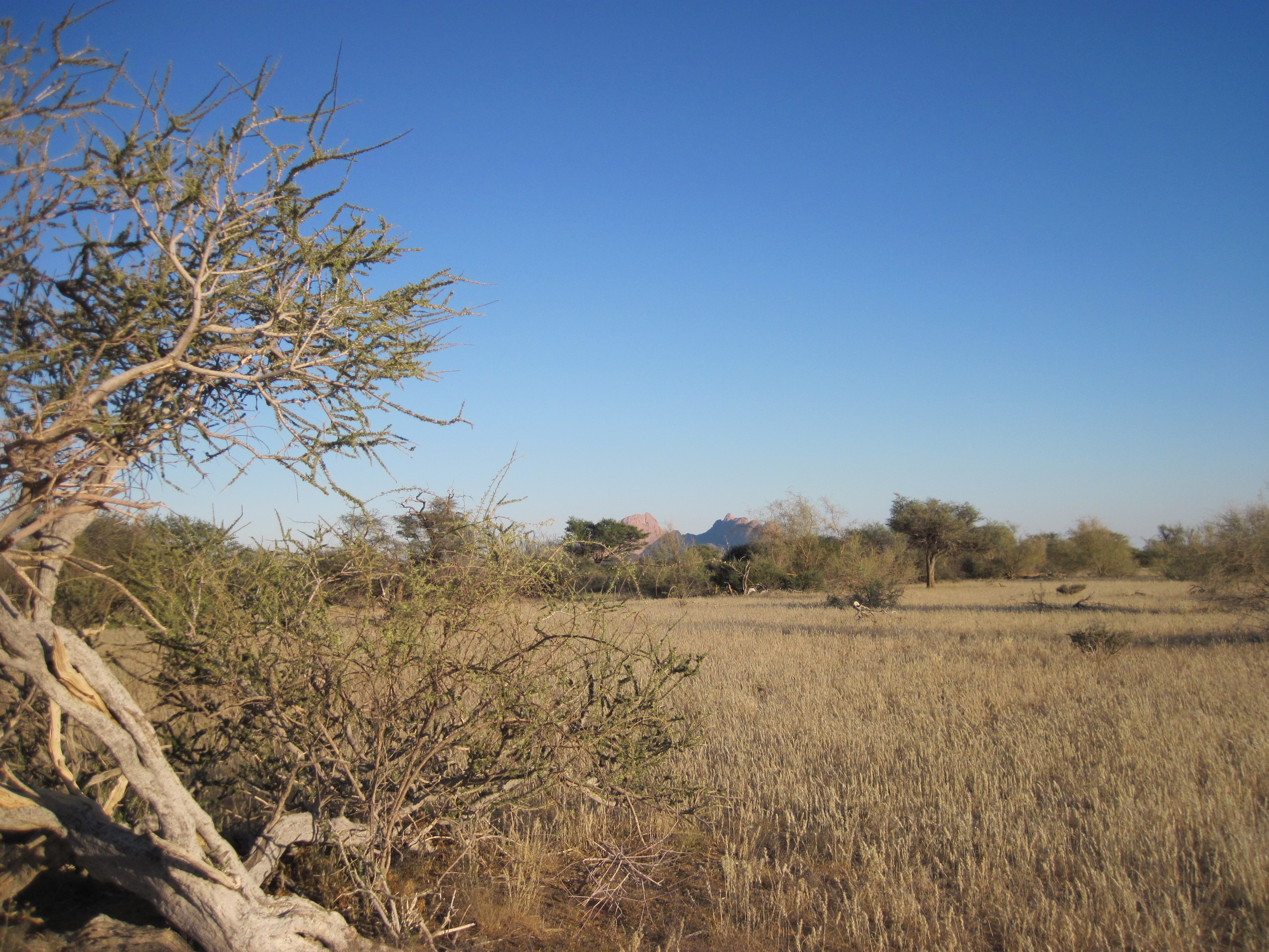 Dernier bivouac au pied du Spitzkoppe