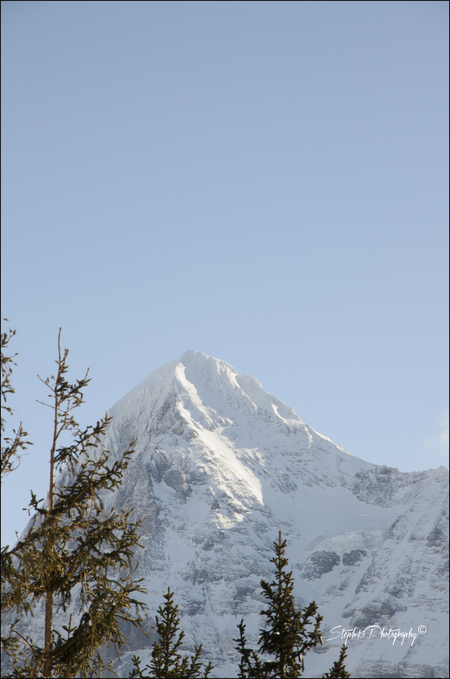 Grütschalp / Allmendhubel /  Mürren