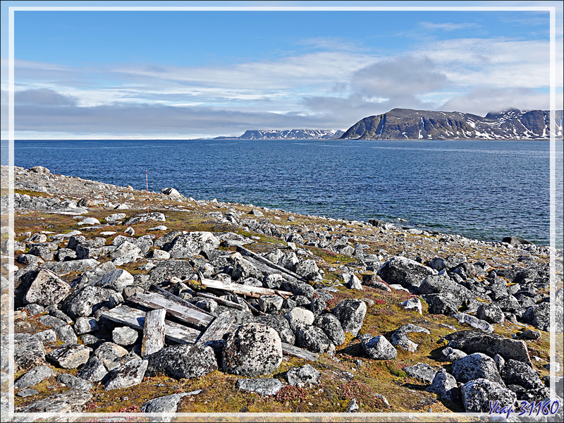 08/07/24 après-midi : Débarquement à l'île Ytre Norskoya - Svalbard - Norvège