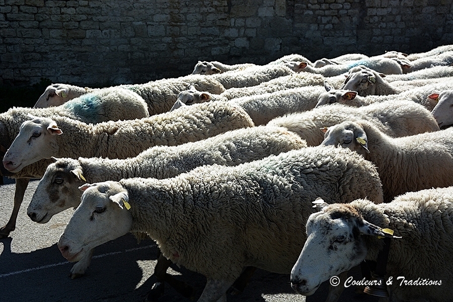 Traversée du village de Dizy le Gros