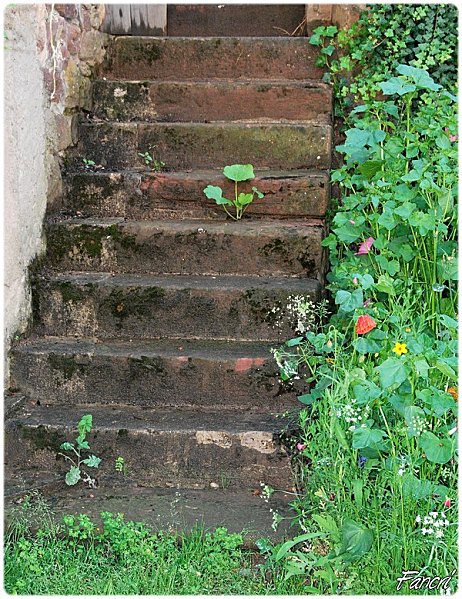 Escalier-Gueberschwihr-