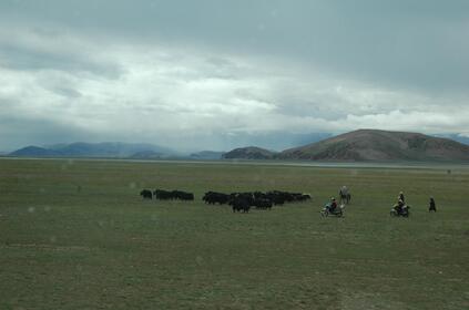 CHINE - TIBET 2007 seconde partie: régions de Lhasa et de Chengdu