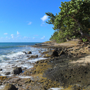 Anse Gros Raisins - Photo : Fritz