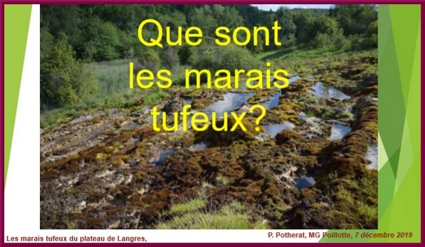 "Les marais tufeux du Plateau de Langres", une conférence proposée par la Société Mycologique du Châtillonnais