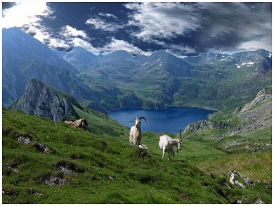 Les yeux bleus de la montagne ... 