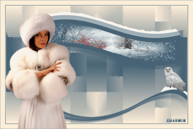 FHI0045 - Tube femme hiver