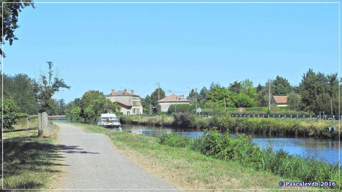Le long du canal latéral à la Garonne - Août 2016 - 9/12