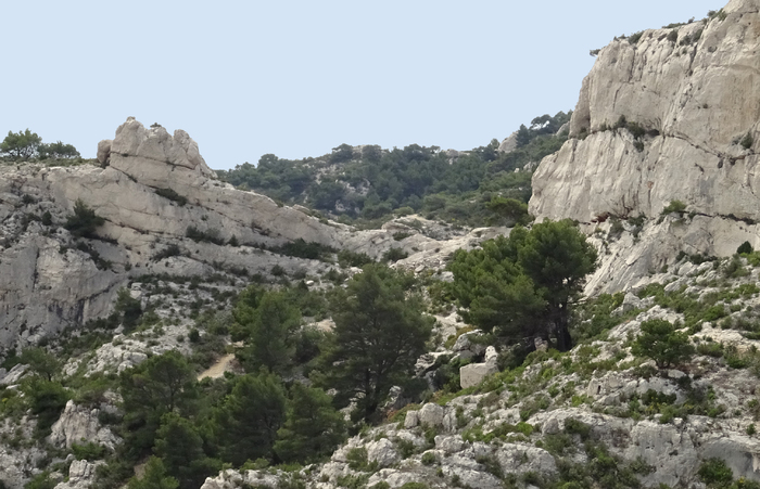 Sommet de Marseilleveyre-Col de la Selle