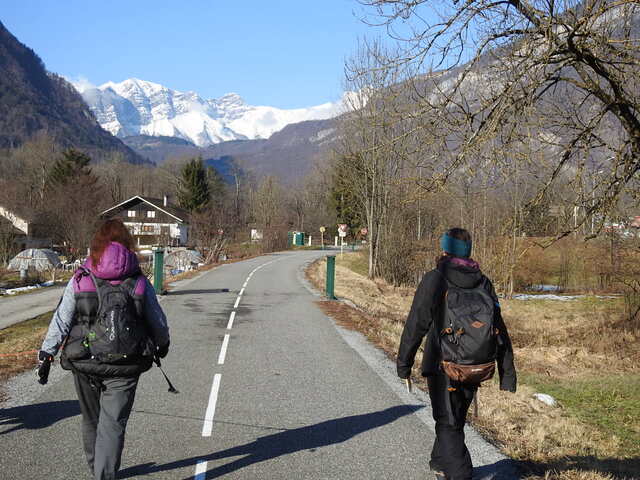 3 loups en Savoie sur Ugine