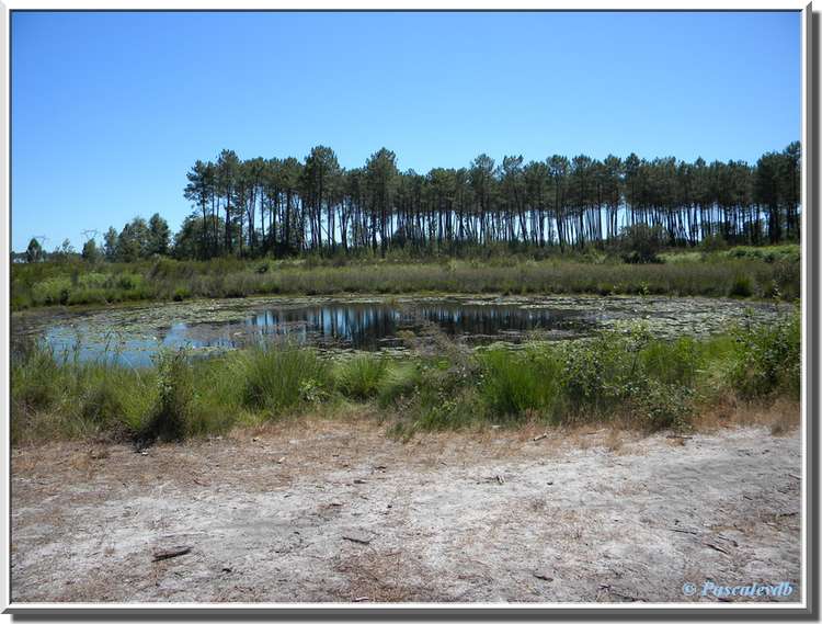 Lagunes du Gat-Mort