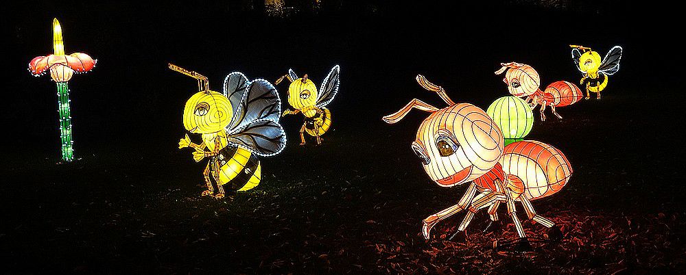 Les lumières légendaires à Bordeaux - Fourmis et abeilles...