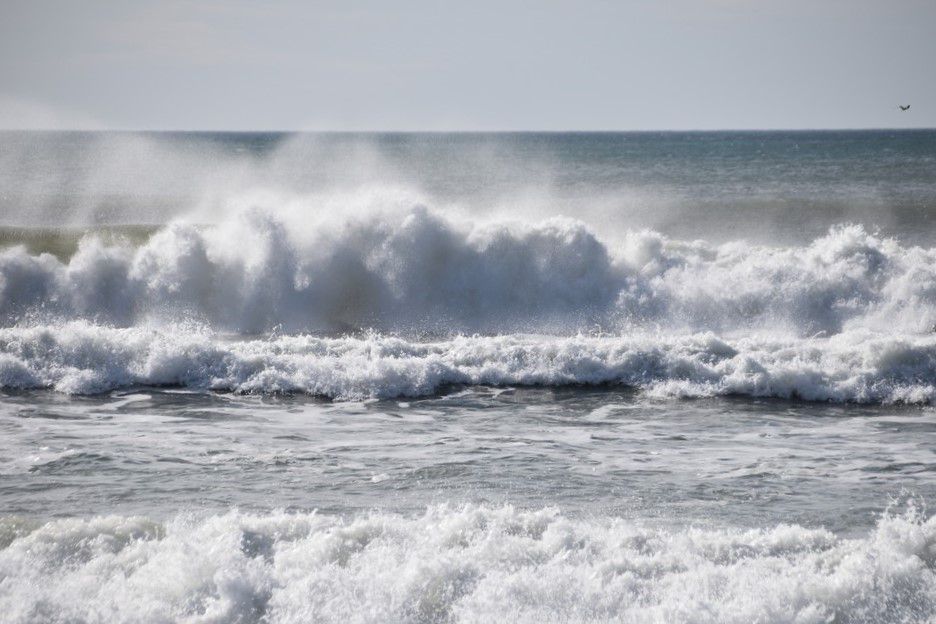 Les belles vagues de Lacanau - mars 2024...