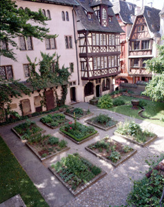 JARDINET GOTHIQUE DU MUSÉE DE L'OEUVRE NOTRE DAME - Comité des Parcs et  Jardins de France