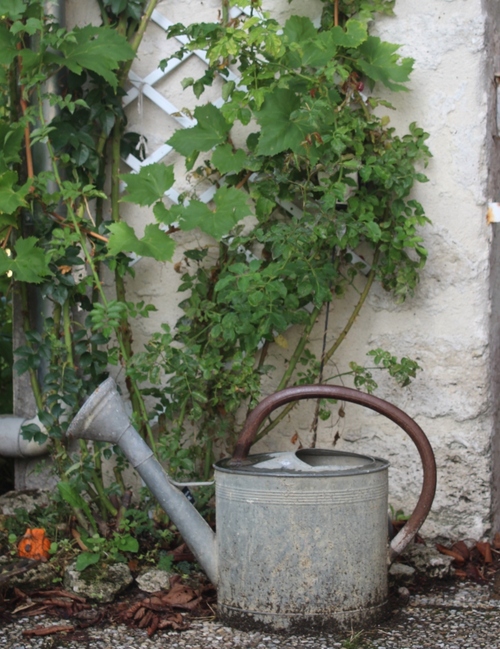 Instant jardin en ce 1er octobre