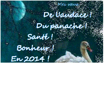 voeux2014
