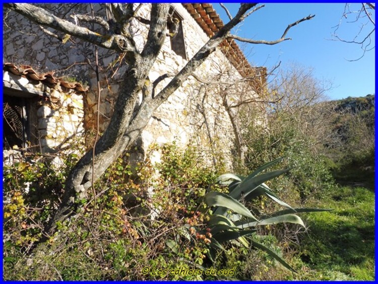 Siou Blanc, la Barralière