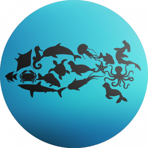 Essais de logos pour un aquarium