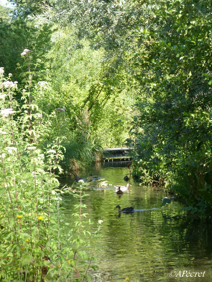 Amiens en pleine nature 