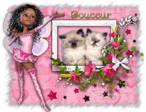 Valyscrappassion