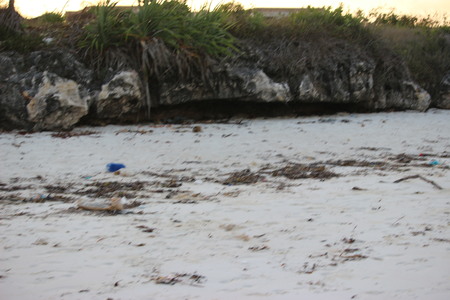 La plage de Matemwe