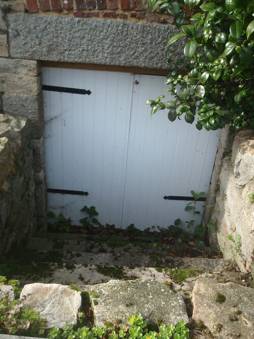 FLEURS SUR MURS EN BRETAGNE