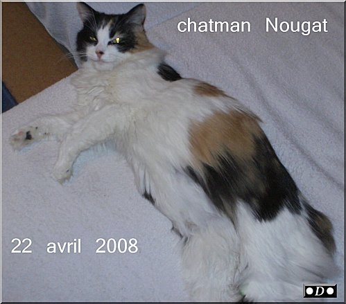 chatman-nougat.jpg