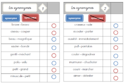 Cartes multi choix sur les synonymes